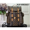 [88factory] 루이비통 크리스토퍼 백팩 M43735 M41379 38*44*21cm 옐로우
