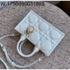 [엔젤] 디올 북 토트 미니 백 매크로까나쥬 21.5*13*7.5cm 화이트