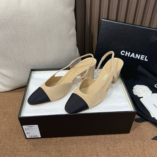 4c376497d040971aeacfec0dc5259ec9_1761970152_8638.jpg