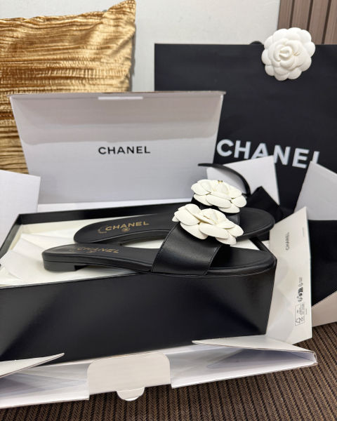 c6eecbd93bdd9565800b535d90d5c08b_1778378037_683.jpg